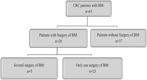 Figure 1 A flowchart of patients included in this study.