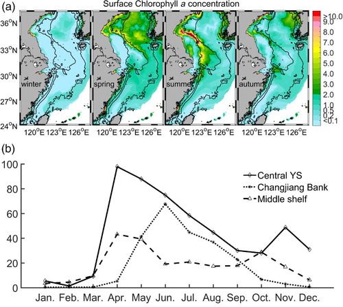 Fig. 3 Chlorophyll a concentration from the reference experiment: (a) spatial distribution of seasonally averaged surface values (mg chl a m−3) and (b) monthly values (mg chl a m−2) obtained by vertical integration over the water column and horizontally averaging for the three representative regions.