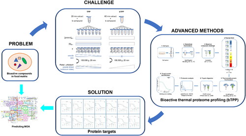 Figure 1. Graphical representation of bioactive thermal proteome profiling strategy. Problem: uncharacterized bioactive compound in food matrix; Challenge: to obtain a proteome-wide food bioactive compound interaction map; Advanced method: bioactive thermal proteome profiling; Solution: unbiased identification of protein targets by MS; Opportunity: prediction of mechanisms of action of a novel compound by one single experiment and analytical technique.