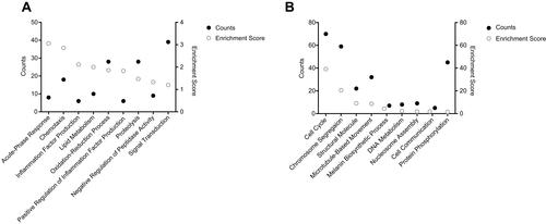 Figure 3 GO clustering results of DEGs with a criterion of Enrichment Score > 1. (A) Up-regulated. (B) Down-regulated. Counts represent the gene number enriched in each term. The Enrichment score was obtained according to the built-in program in DAVID, which ranks the biological significance of gene groups based on overall P-value of all enriched annotation terms. The higher the enrichment score is, the more important the term is.