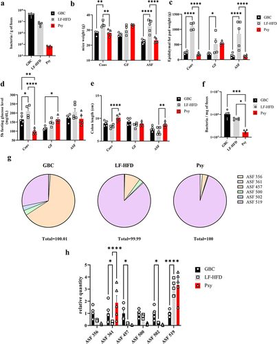 Figure 5. Psyllium reduces bacterial density, and its metabolic benefits require the presence of a minimal gut microbiota. (a). Male 6- to 8-week-old C57Bl/6 mice (conventionally colonized) were fed indicated diet for 28 days and bacterial density was measured. (B−F). Male 6- to 8-week-old C57Bl/6 mice maintained in conventionally colonized (Conv), germ-free (GF), and altered Schaedler flora (ASF) state were fed with the indicated diet for 28 days. (b) Relative body weight over time. (c) Epididymal fat pad weight. (d) 5 hours fasting glucose level. (e) Colon length. Data are expressed as means ± SEM of n = 5 mice per group for conventional mice, N = 4 mice per group for the GF mice, and n = 5 mice per group for ASF mice. (f) Bacterial density in the feces of ASF mice. (g) Measure of abundance of ASF strain by qPCR. (h) Relative change in ASF strain in comparison with GBC. Significance was determined by ANOVA. *P < 0.05, **P < 0.01 ***P < 0.0001.