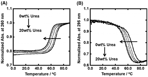 Figure 3. Normalized UV melting curves for 5 μM dsDNA (A) and gqDNA (B) in the buffer containing 100 mM KCl, 10 mM K2HPO4, and 1 mM K2EDTA with various concentrations of urea (0, 5, 10, 15, and 20wt%). UV melting curves of dsDNA and gqDNA were assessed by UV absorbance at 260 nm and 295 nm, respectively.