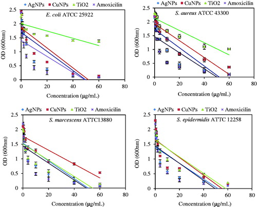 Figure 8. Determination of MIC and MBC based on optical density (OD) vs concentrations of Ag, Cu and TiO2 NPs for E. coli ATCC 25922 and S. aureus ATCC 43300.
