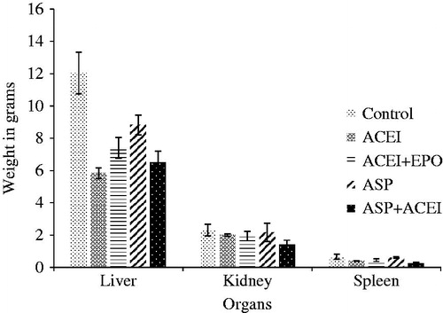 Figure 2. Weight of different organs of control and treated groups of albino rats after 28 days.