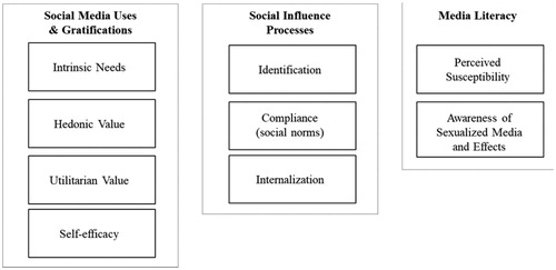 Figure 1. Overview of the main themes and sub-indicators.