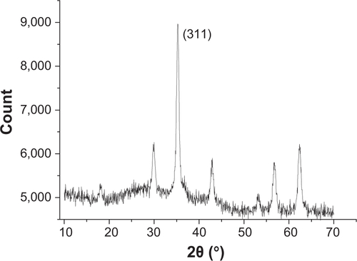 Figure S1 X-ray diffraction pattern of the Fe3O4 dispersion sample.