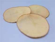 Fig. 1 Picture of potato samples.