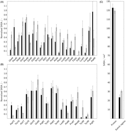 Figure 8. The normalised solvent-accessible surface area (SASA) of Rab5 was calculated for individual amino acids in the switch I (A) and switch II (B) regions. In addition, the overall SASA was determined for the whole protein as well as for both switch regions (C). Data for Rab(GDP) and Rab(GTP) are coloured in black and gray, respectively.