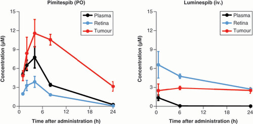 Figure 3. Mean ± standard deviation levels of pimitespib or luminespib in rat xenograft models after administration of pimitespib 12.0 mg/kg PO or luminespib 20.0 mg/kg iv. iv.: Intravenously; PO: Orally.