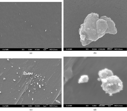 FIG. 3 SEM photographs of ARD generated by an atomizer (a), (b) and by a fluidized bed (c), (d).