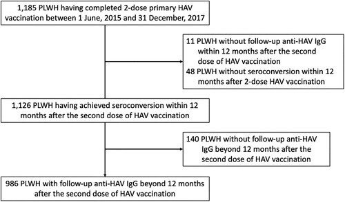 Figure 1. Study flow. Abbreviations: HAV, hepatitis A virus; IgG, immunoglobulin G; PLWH, people living with HIV.