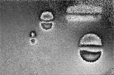 Figure 12 Wrapped phase difference from two sequences of shearography images with unknown phase shifts.