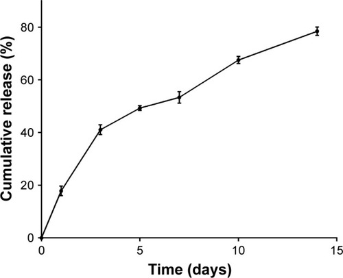 Figure 1 Release curve of ACS at 1, 3, 5, 7, 10, and 14 days.Note: There is a burst release on the first day, and then a sustained release is observed until day 14, (n=3).Abbreviation: ACS, aspirin-loaded chitosan nanoparticles.