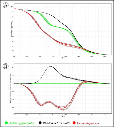 Figure 4. High resolution melting analysis of a fragment of psbA-trnH. (A) Curves of three herbal species in a normalized melting curve graph. (B) Difference graph of the normalized melting curves using A. gigantifolia as baseline. Information can be accessed at https://figshare.com/s/e124acf847252f93d9b4.