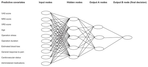 Figure 1 The artificial neural network schema shows the factors affecting the decision for specific drug administration.