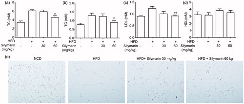 Figure 2. Silymarin suppressed blood lipids levels in HFD-induced obesity mice. (a) Mice were fed with NCD or HFD for 14 weeks, then treated with silymarin for 3 weeks, followed by 12-h fasting. (a–d) Serum were collected for TC, TG, LDL and HDL analysis. (e) Epididymal fat was harvested and stained with H&E. Values are means ± SD (n = 8). *p < 0.05, **p < 0.01, compared to HFD group.