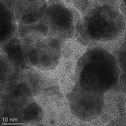 Figure 8. TEM image of AgNPs synthesized from M. charantia.