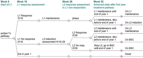 Figure 2. Model structure: decision tree for first year treatment-pathway. Patients with active axSpA start a treatment-pathway with a first b/tsDMARD (L1). At the end of the initial 16-week assessment period, their clinical response is evaluated: (a) BASDAI50 responders continue initial treatment L1; a proportion of L1 responders will however discontinue L1 between w17 and w52 (any cause discontinuation, assumed to occur at an annual rate of 11%). After L1 discontinuation, patients get a next b/tsDMARD treatment (L2) which is assumed to start with the Markov model as from year 2. (b) BASDAI50 non responders stop initial treatment L1 and start a next b/tsDMARD treatment (L2) for another 16-week assessment period (or 12 weeks if L2 is a TNFi) with clinical response evaluation: BASDAI50 responders start L2 maintenance treatment, subject to a 11% annual discontinuation rate for any cause between w28 and w52, after which they receive BSC. BASDAI50 non-responders stop L2 treatment and receive BSC from w28 onwards until the end of the first year. The treatment-pathways modeled for one year determine the initial health states distribution for the Markov model. No discontinuation was assumed to occur during an assessment period (week 1–16 for L1, and week 17–28 for L2). axSpA, axial spondyloarthritis; BSC, best supportive care; L1/2, line 1/2; resp., response; Tx, treatment.