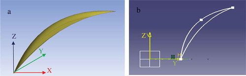 Figure 8. Shape of the single aerofoil shape turbulator: (a) 3 D view, (b) 2 D view.