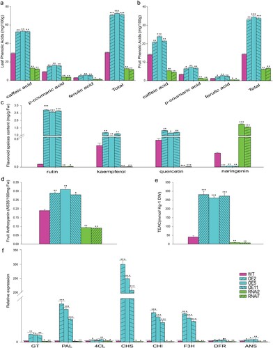 Figure 8. Overexpression of SlMX1 modulates the phenylpropanoid compounds in tomato. (a) Quantification of leaf phenolic acids (mg/100 g) in WT, SlMX1 and RNAi lines. (b) Quantification of fruit phenolic acids (mg/100 g) in WT, SlMX1, and RNAi lines. (c) Quantification of flavonoid species content (mg/g Fw) in the methanolic extracts of tomato fruits of WT, SlMX1 OE, and RNAi lines. (d) Quantification of anthocyanin (A535/100 mg Fw) in the methanolic extracts of tomato fruits of WT, SlMX1 OE, and RNAi lines. (e) Measurement of antioxidant activity TEAC (mmol/kg–1 DW) in the methanolic extracts of tomato fruits of WT, SlMX1 OE, and RNAi lines. (f) Quantitative expression analysis of the structural genes of phenylpropanoid pathway/flavonoid pathway in fruit of the WT, SlMX1 OE, and RNAi lines at breaker ripening stage. GT, Glucosyltransferase; PAL, Phenylalanine amonia lyase; 4CL, 4-coumaroyl CoA ligase; CHS, Chalcone synthase; CHI, Chalcone isomerase; F3H, Flavonone-3-hydroxylase; DFR, Dihydroflavonol 4-reductase; ANS, Anthocyanidine synthase. The data shown are the mean ± SE (n = 3). Single (*P < 0.05), double (**P < 0.01) and (**P < 0.001) asterisks denote statistically significant differences between the transgenic and wild-type lines.