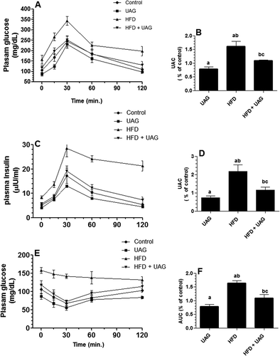 Figure 2. Oral glucose tolerance test (OGTT) and insulin tolerance test (ITT) outputs of all experimental groups. For the OGTT, an oral glucose solution (2 g/kg) was administered to 12 h-fasted rats and then both glucose (mg/dl) and insulin (µU/ml) levels were examined before glucose loading and immediately at 15, 30, 60, 90 and 120 min. ITT was performed 1 day after the OGTT where the 12-h fasted rats were injected intraperitoneally with insulin (0.75 U/rat) followed by the direct measurements of glucose (mg/dl) at similar time intervals like those of OGTT. (A) Plasma glucose levels (mg/dl) at different time intervals before and after glucose loading. (B) Area under the curve (AUC) for glucose levels presented in graph A and expressed as percentages of the AUC of the control rats fed the standard diet (STD). (C) Plasma insulin levels (µU/ml) at different time intervals before and after glucose loading. (D) AUC for insulin levels presented in graph C and expressed as percentages of the AUC of the control rats fed the STD. (E) Plasma glucose levels (mg/dl) at different time intervals before and after intraperitoneal insulin administration. (F) AUC for glucose levels presented in graph E and expressed as percentages of the AUC of the control rats fed the STD). Statistical analysis between the various groups was done using a one-way ANOVA test, followed by Tukey’st test. Data are expressed as mean ± SD of n = 12/group and values were considered significantly different at P < 0.05 were a:vs. STD, b:vs. STD+ UAG. c:vs. HFD. HFD: high-fat diet. UAG: unacylated ghrelin.