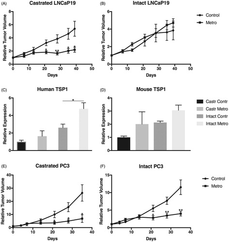 Figure 2. Effect of castration on LDMC tumor inhibition and TSP1 expression. Tumor volumes were measured with a caliper and related to their individual volume (approximately 200 mm3 for LNCaP-19 and 70 mm3 for PC-3) at treatment start (Day 0). (A, B) Relative volumes of LDMC treated LNCaP-19 tumors compared to controls in (A) castrated and (B) intact animals. (C) Human and (D) mouse TSP1 levels in LDMC-treated LNCaP-19 tumors compared to controls in castrated and intact animals. (E,F) Relative volumes of LDMC treated PC-3 tumors compared to controls in (E) castrated and (F) intact animals. *p < .05; **p < .01.