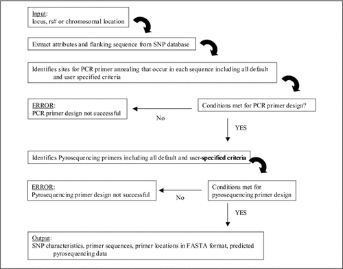 Figure 1. Representation of the organization of the SOP3application web site.Data were combined from the University of California Santa Cruz (UCSC) Genome Browser (Build 34) and dbSNP (Build 118) from the National Center for Biotechnology Information (NCBI) into the SOP3 database. The SOP3 application enables the analysis of SNP attributes, including flanking sequence and chromosomal location, during the design of primer sets for PCR and Pyrosequencing. SNP, single nucleotide polymorphism.