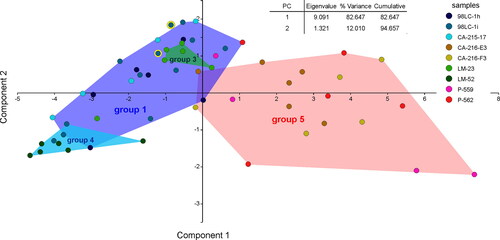 Figure 13. Principal component analysis based on growth-independent characters of nepionts. Grouping by samples (point colours) and groups (background colour of convex hulls). Points with yellow margins represent the position of ‘L. group 2’.