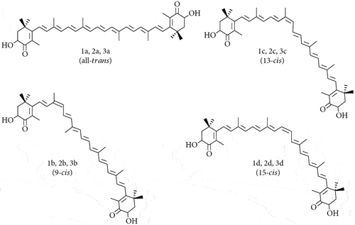 Figure 4. Common geometric isomers of astaxanthin (Brotosdarmo et al, 2020).