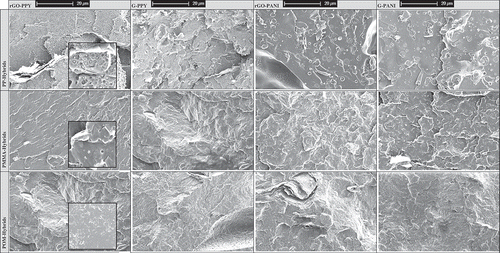 Figure 11. SEM images of the top hybrids that give highest electrical conductivity in their corresponding thermoplastic matrices (inside – 2 µm).