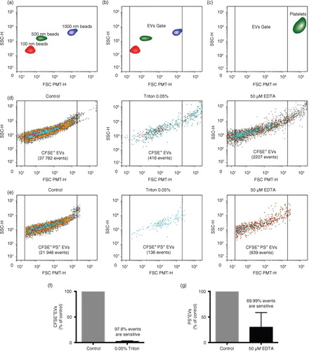 Fig. 3.  Detection of EVs in lymph using flow cytometry. (a through e) A Canto II flow cytometer modified with a “small particle” FSC PMT-H option was used to detect and quantify silica microspheres of 100 nm (red), 500 nm (green) and 1,000 nm (violet) mean diameter and EVs. (a, b) An EV gate was designed for the detection of small particles from 100 to 1,000 nm in diameter, based on the silica microspheres sizes (FSC PMT-H). (c) CD41+ mouse platelets are excluded from the EV gate based on their size (FSC PMT-H). Representative flow cytometry dot plot of lymph (d) total CFSE+ and (e) CFSE+PS+ EVs in control conditions or treated with 0.05% Triton or 50 M EDTA. Sensitivity to (f) Triton or (g) EDTA of EVs.