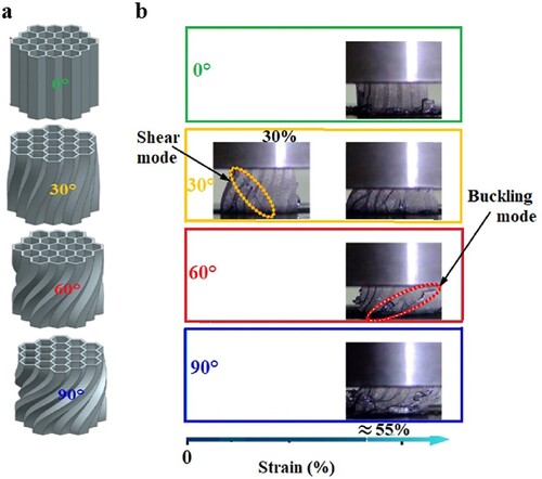 Figure 9. (a) CAD model of honeycomb structures with various twist angles and (b) 3D printed honeycomb deformation with various twist angles also showing the type of collapse modes at different strain values (Lin et al. Citation2021).