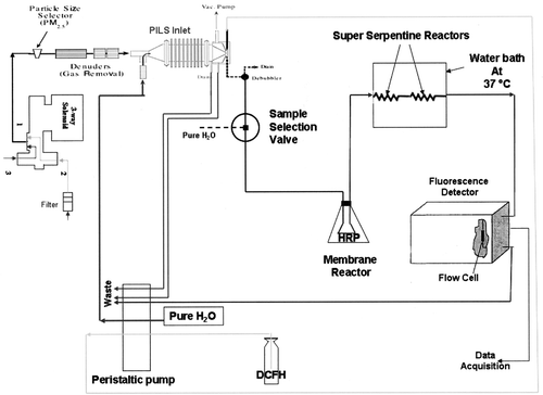 FIG. 1 Schematic of the integrated ROS sampling-analysis system.