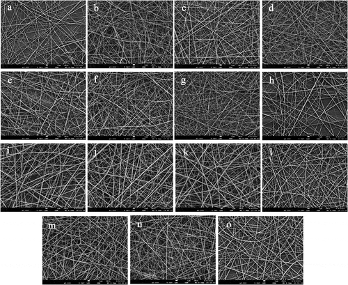 Figure 7. Scanning electron micrographs of PPI/PLLA fibers from experimental runs.Figura 7. Micrografías electrónicas de barrido de fibras de PPI/PLLA de series experimentales