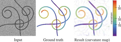 Figure 8. Validation of the SE(2) exponential curvature estimation on a typical synthetic image. From left to right: input image (SNR = 1), ground truth colour-coded curvature map, measured curvature map with resp.