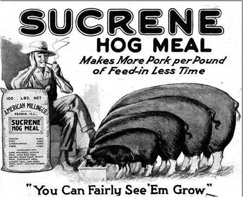Figure 1. 1918 Advertisement for Sucrene Hog Meal Feed containing molasses and linseed meal, showing macronutrient breakdown and promising more pork per pound, in less time. From The Country Gentleman. Public domain.