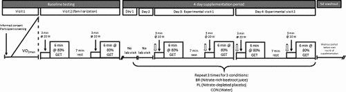 Figure 1. Schematic illustration of experimental protocol.