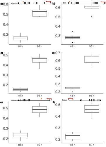 Figure 5. Box plots showing representative β-values at each time point.
