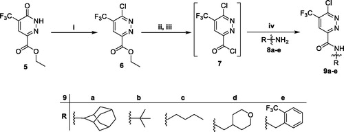 Scheme 2. Preparation of intermediateds 9a–e; reagents and conditions: (i) POCl3, 100 °C, 5 h; (ii) LiOH, THF, H2O, r.t., 1 h; (iii) SOCl2, DMF (catalytic), 1,2-dichloroethane, reflux, 3 h; (iv) Methylene chloride, Et3N, r.t., 4 h.
