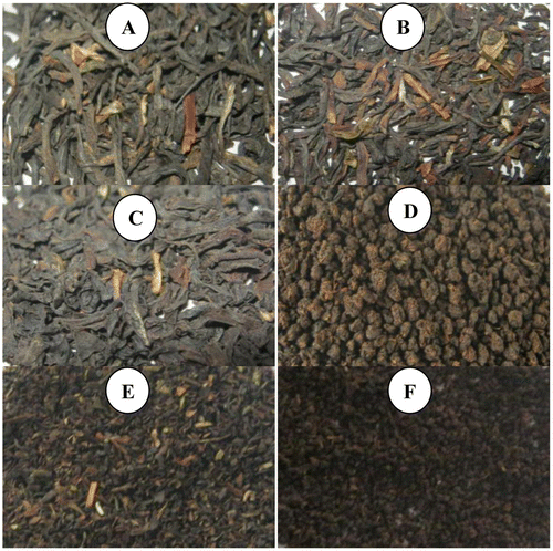 Figure 1. Different tea types used in the study: (A) AO LEAF, (B) LD, (C) FBOP, (D) RL, (E) FAN and (F) DUST.