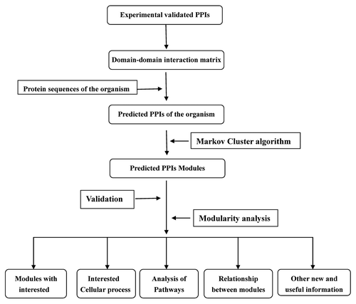 Figure 1. A flowchart of the protocol.