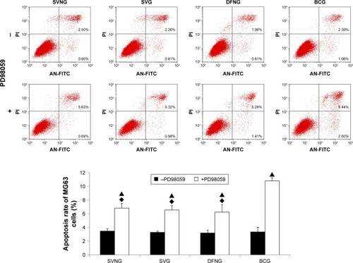 Figure 6 The role of the ERK1/2 pathway in the regulation of cell apoptosis by SVNs and SV. The results are the mean values of three independent measurements (±SD). ▲P<0.05 drug vs drug + PD98059; ♦P<0.05 vs BCG + PD98059.Abbreviations: BCG, blank control group; DFNG, drug-free nanomicelles group; SD, standard deviation; SV, simvastatin; SVG, simvastatin group; SVNs, simvastatin-loaded nanomicelles; SVNG, simvastatin-loaded nanomicelles group.