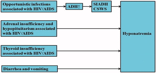 Figure 1. The main causes of hyponatremia in HIV/AIDS patients.