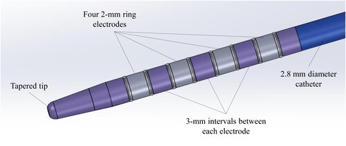 Figure 1. Prototype multifunctional RFA catheter. Four 2-mm ring electrodes are placed at the tip of the catheter at 3-mm intervals each. The catheter measures 2.8 mm in diameter and 2000 mm in length, compatible with a 0.025/0.035-inch guidewire. The intended electrode can be set as the active electrode in the unipolar, bipolar, or multipolar modes.