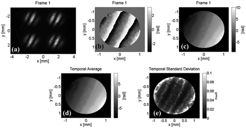 Figure 2. Temporal variation of the system showing the (a) four-phase shifted interferograms obtained in a single shot, its corresponding (b) wrapped and (c) unwrapped phase. By taking 1000 frames we obtain the (d) average and (e) standard deviation of each pixel of the demodulated phase.