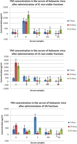 Fig. 2 Graphic representation of TNF α concentration in the serum of holoxenic mice, collected after: I – 7 days from the first oral administration of NVCs; II – 14 days from the first oral administration of NVCs; III – 21 days from the first oral administration of NVCs. IC, integral culture, CS, cellular suspension; SN, supernatant; A, serum collected from holoxenic mice after oral administration of NVC; B, serum collected from holoxenic mice after oral administration of NVC stimulated with E. coli O28C; C, serum collected from holoxenic mice after oral administration of NVC stimulated with B. cereus; MC, media control – serum collected from holoxenic mice after oral administration of MRS; NC, negative control – serum collected from holoxenic mice control.