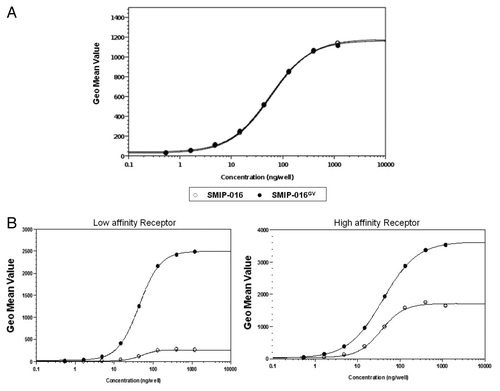 Figure 1. Characterization of SMIP-016GV molecule. (A) Binding affinity of SMIP-016 and SMIP-016GV to target antigen CD37. (B) Enhanced binding of SMIP-016 GV with both high and low affinity soluble FcγRIII.