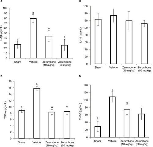 Figure 8 Effect of zerumbone (10 and 50 mg/kg) treatments on the blood plasma levels of (A) IL-1β, (B) TNF-α, (C) IL-10, and (D) IL-6 in CCI and sham mice.