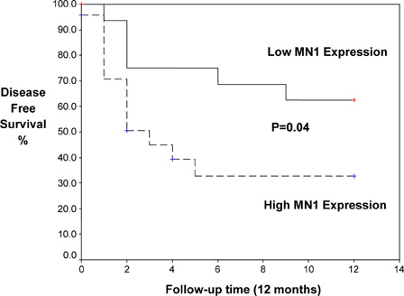 Figure 2. Kaplan–Meier curve for DFS in CN-AML patients according to MN1 expression.