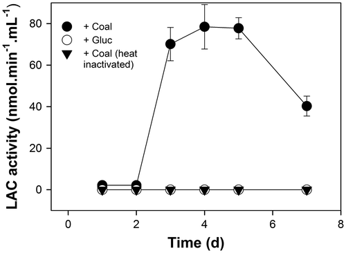 Fig. 5. Waste coal-induced changes in extracellular LAC activity in culture filtrates from N. fischeri strain ECCN 84.Notes: Filtrates were assayed for extracellular LAC activity by monitoring the oxidation of ABTS spectrophotometrically at 420 nm and data represent the mean ± SD of three experiments.